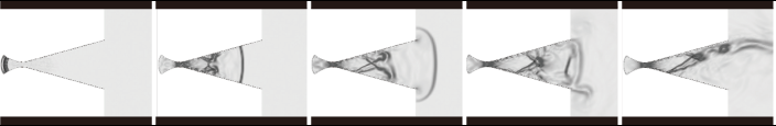 cfd_model1.png