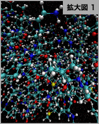 combined_zoom1